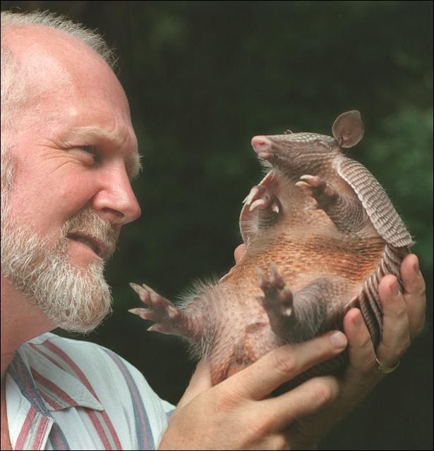 Interactions Between Humans and Armadillos